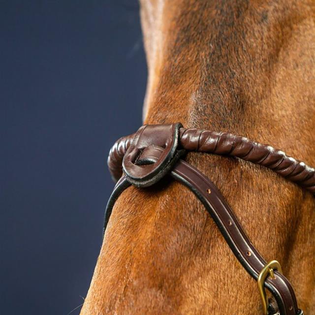 Sperrriemen mit 2 abnehmbaren Befestigungsschlaufen D Collection by Dy'on Brown