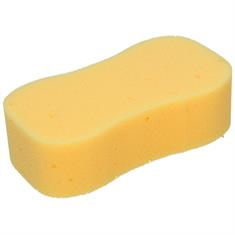 Sponge CDM Multicolour
