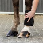 Sponge QHP Equi Super Shiner Black