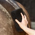 Sponge QHP Equi Super Shiner Black