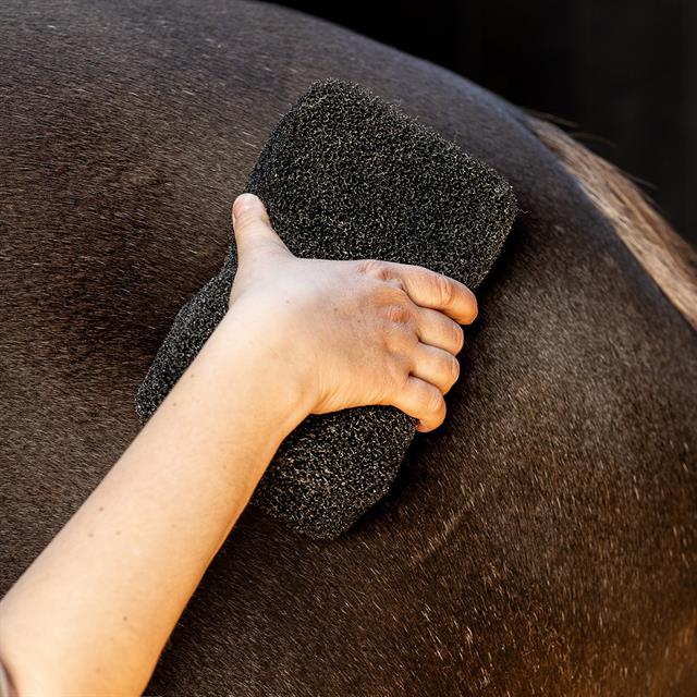 Sponge QHP Equi Super Shiner Black