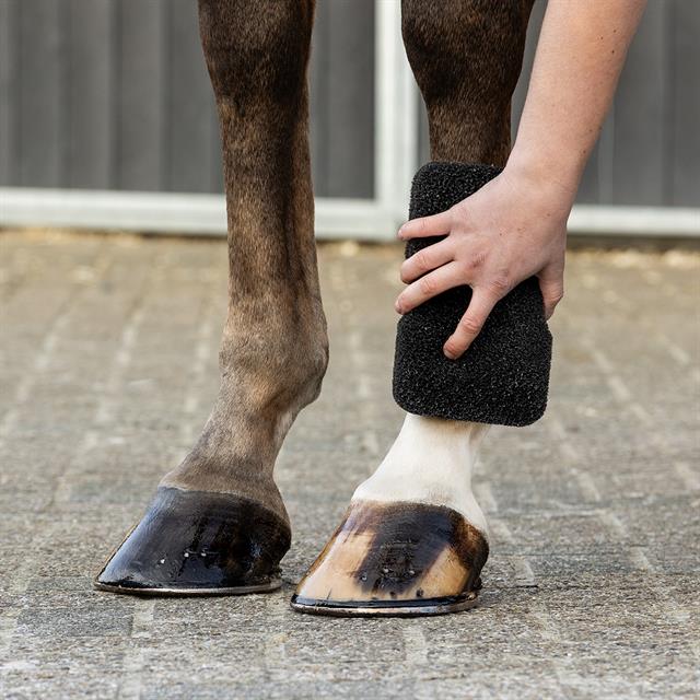 Sponge QHP Equi Super Shiner Black