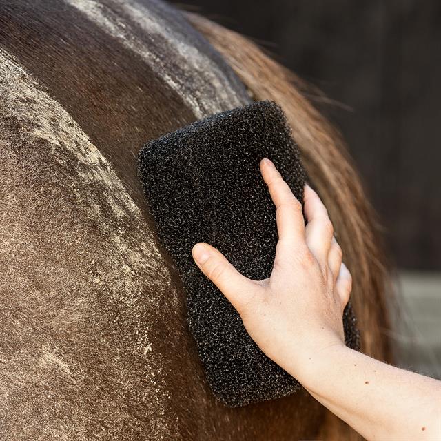 Sponge QHP Equi Super Shiner Black