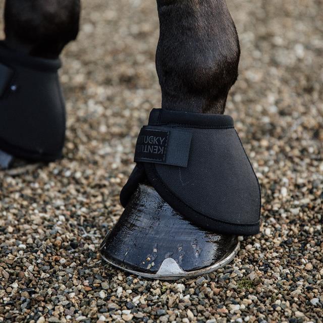 Springglocken Ballenschutz Kentucky Black