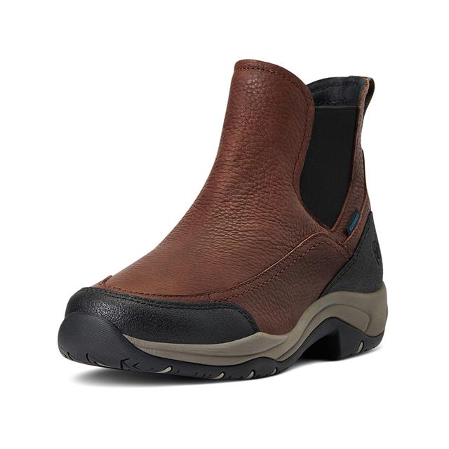 Stable Boots Ariat Terrain Blaze H2O Dark Brown