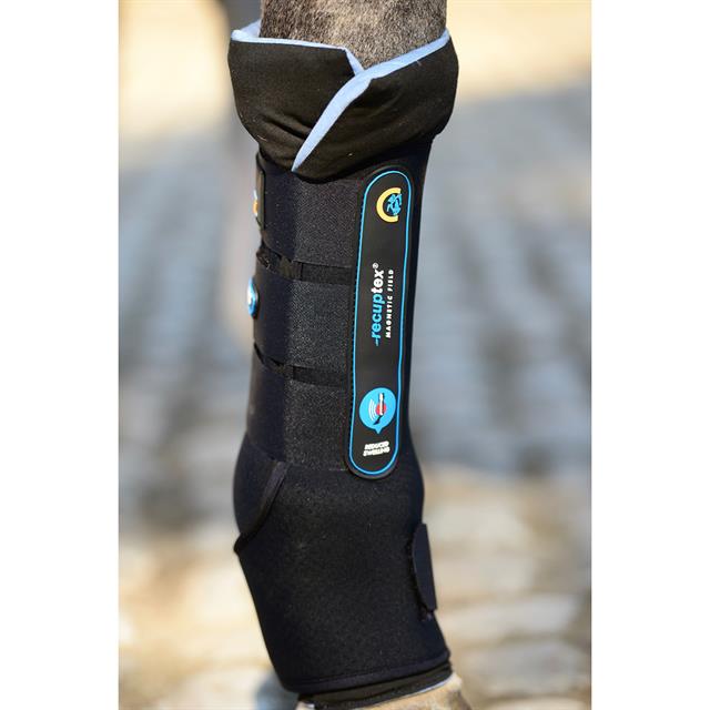 Stable Boots Kentucky Recuptex Black