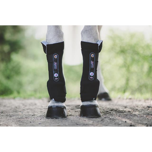 Stable Boots Kentucky Recuptex Black