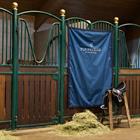 Stable Curtain Equestrian Stockholm Blue Meadow Blue