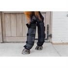 Stable Protectors PROtect Classic Rear Kentucky Black