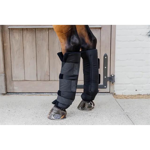 Stable Protectors PROtect Classic Rear Kentucky Black