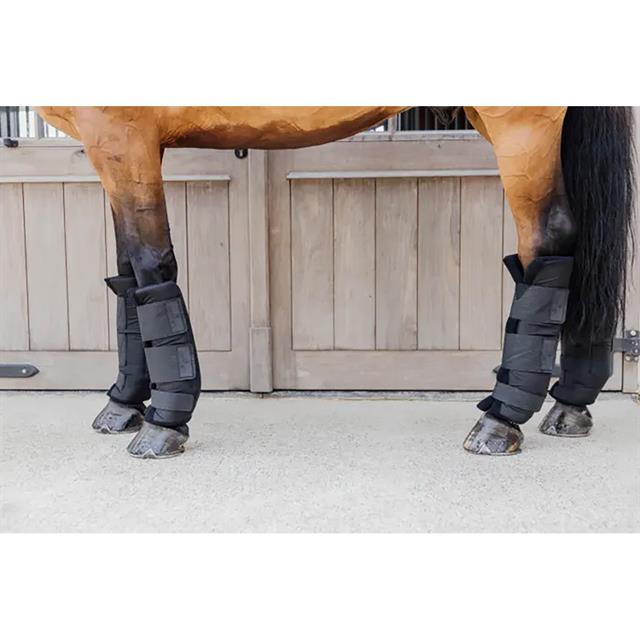 Stable Protectors PROtect Classic Rear Kentucky Black