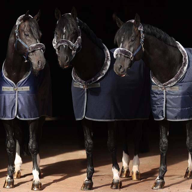 Stable Rug Bucas Show-Line 150gr Dark Blue-Grey