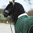 Stable Rug Friesianhorse By Horsegear Dark Green