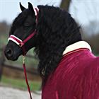Stable Rug Friesianhorse By Horsegear Dark Red