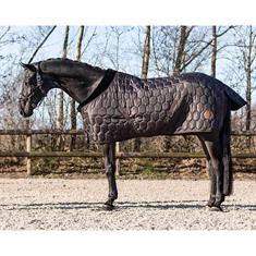 Stable Rug QHP Classy 100gr Brown