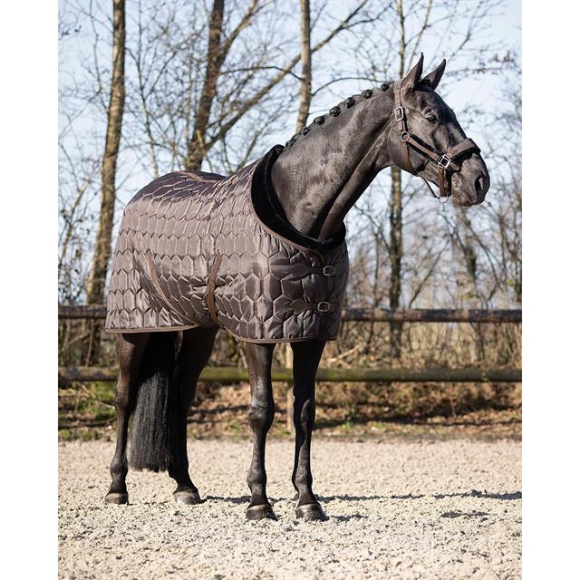 Stable Rug QHP Classy 100gr Brown