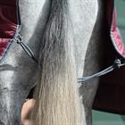 Stable Rug Weatherbeeta Comfitec Combo Neck 360g Dark Red