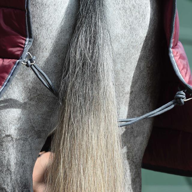 Stable Rug Weatherbeeta Comfitec Combo Neck 360g Dark Red