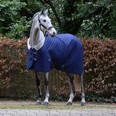 175 cm.  Blue - 175 Cm QHP Stable Rug Luxe 300g in Size 