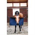Stal Guard Kentucky Dark Blue