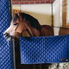Stal Guard Kentucky Dark Blue