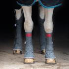 STALBESCHERMERS EQUILIBRIUM MAGNETIC FRONT Grey