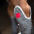 STALBESCHERMERS EQUILIBRIUM MAGNETIC HIND Grey