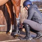 STALBESCHERMERS EQUILIBRIUM MAGNETIC HIND Grey