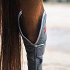 STALBESCHERMERS EQUILIBRIUM MAGNETIC HIND Grey