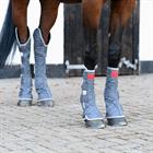 STALBESCHERMERS EQUILIBRIUM MAGNETIC HIND Grey