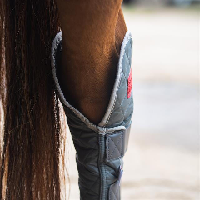 STALBESCHERMERS EQUILIBRIUM MAGNETIC HIND Grey