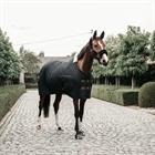 Stalldecke 400 g Kentucky Black