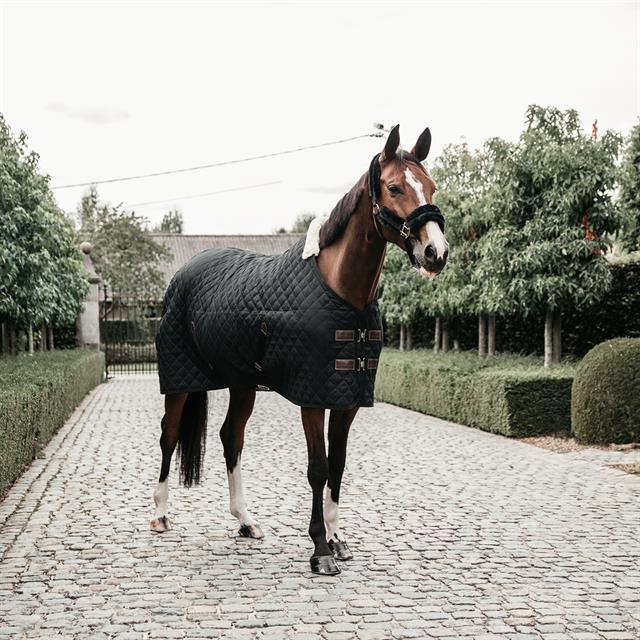 Stalldecke 400 g Kentucky Black