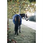 Stalldecke 400 g Kentucky Dark Blue
