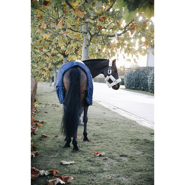 Stalldecke 400 g Kentucky Dark Blue