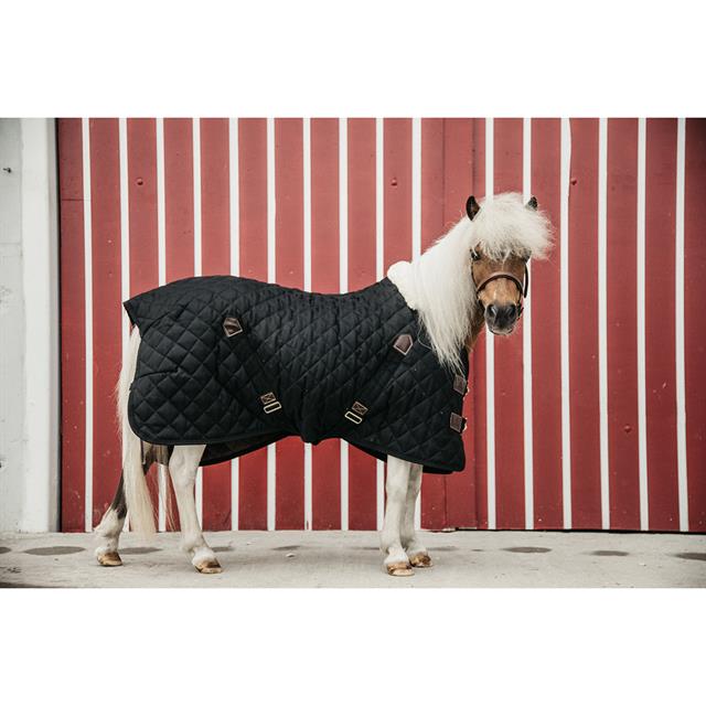 Stalldecke Tiny 400 g Kentucky Black