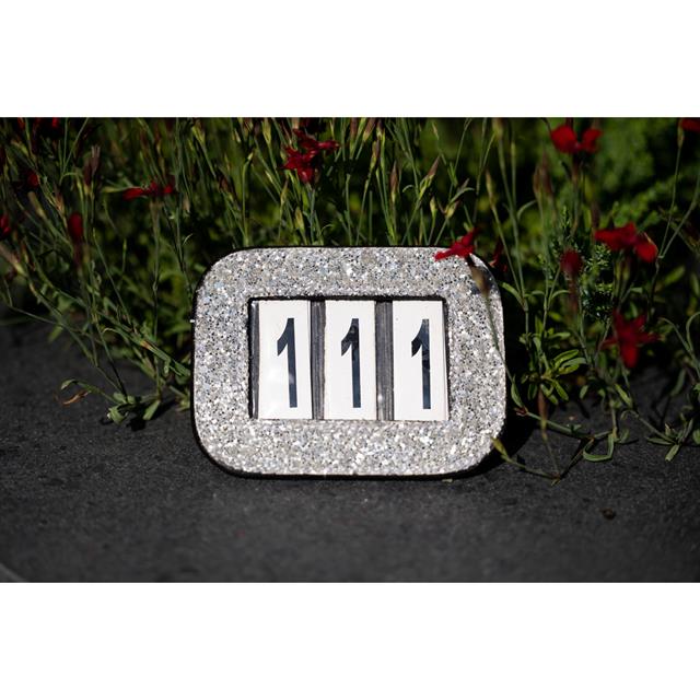 Startnummern Showtime Glitter HB Black-Silver