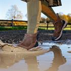 Steel Toe Boots with Zip LeMieux Brown
