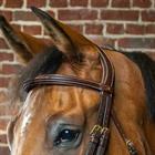 Stirnriemen D Collection Dy'on Brown