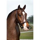 Stitched Hunter Halter LeMieux Brown
