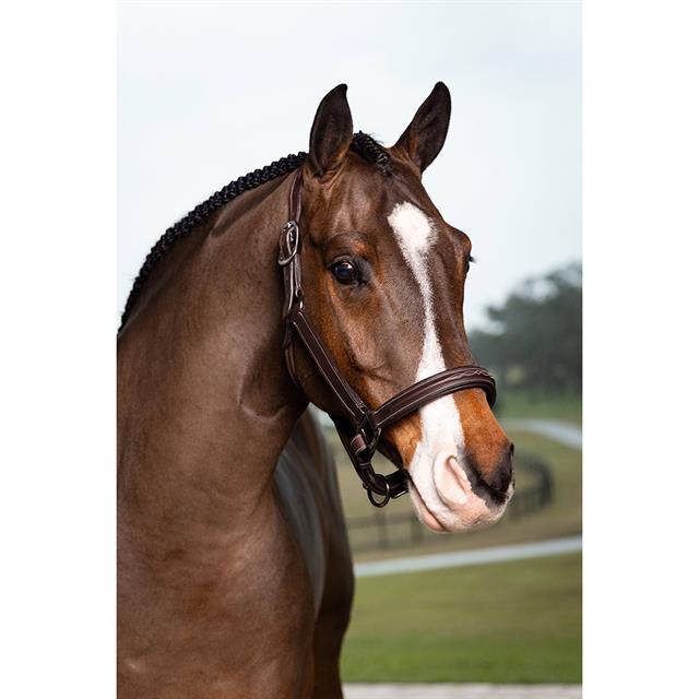 Stitched Hunter Halter LeMieux Brown