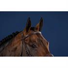 Straight Browband Without Studs US Hunter Dy'on Brown