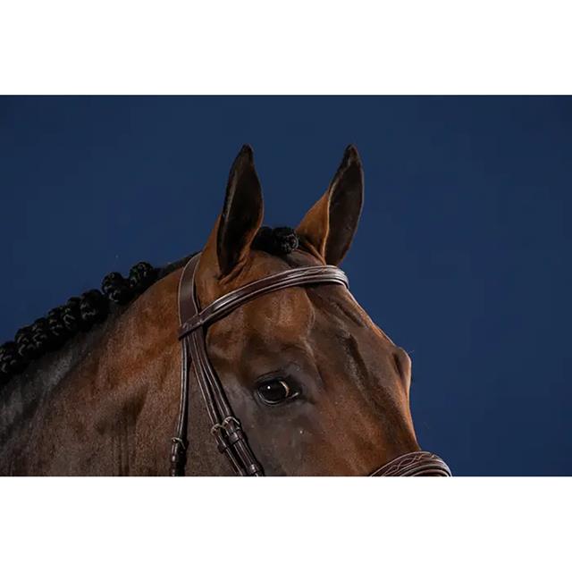 Straight Browband Without Studs US Hunter Dy'on Brown