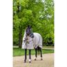 Summer Rug Lemieux Kudos Field Light Grey
