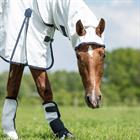 Sweet Itch Rug Horsegear Full Neck White