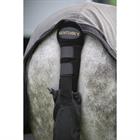Tail Guard Kentucky with Tail Bag 