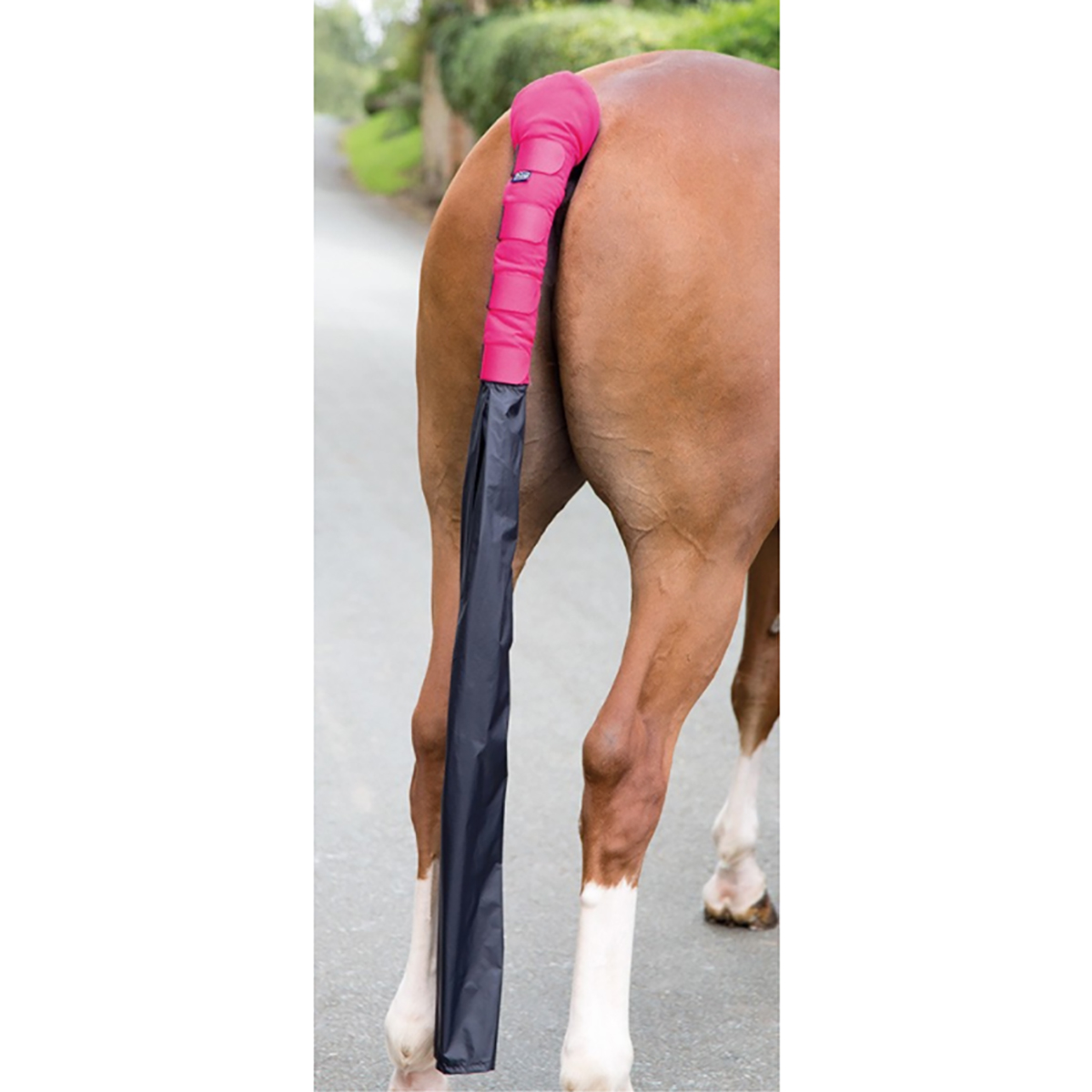 Shires Arma Padded Horse Tail Guard With Bag in Red one size 