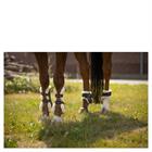 Tendon Boots BR Urban Comfort Brown