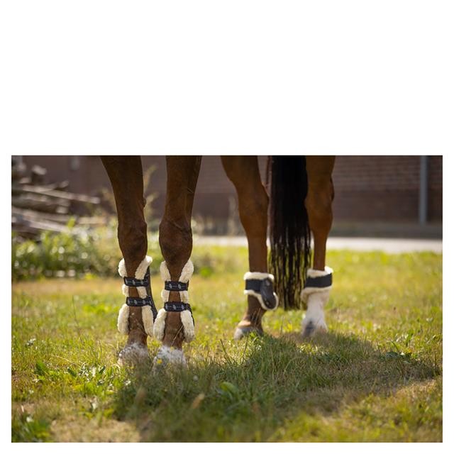 Tendon Boots BR Urban Comfort Brown