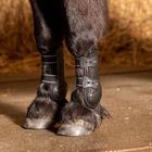 Tendon Boots Harry's Horse Pinlock Black